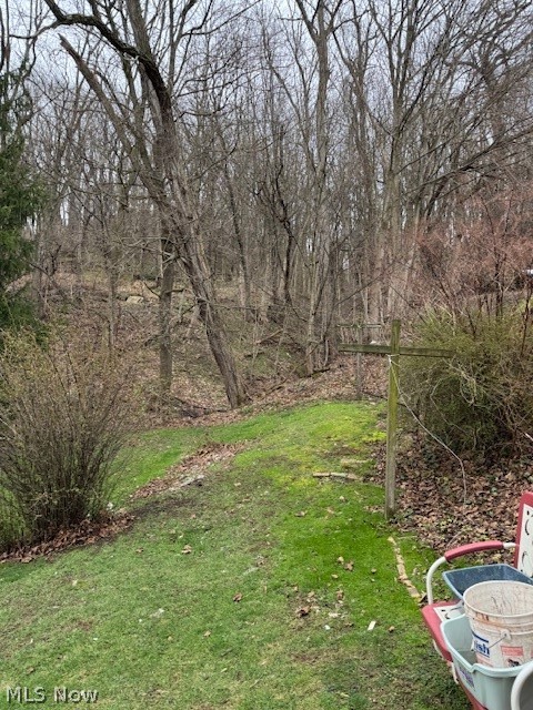 626 High Street, Wellsburg, WV - Photo 5
