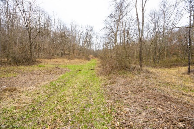 Township Road 71, Killbuck, OH - Photo 8