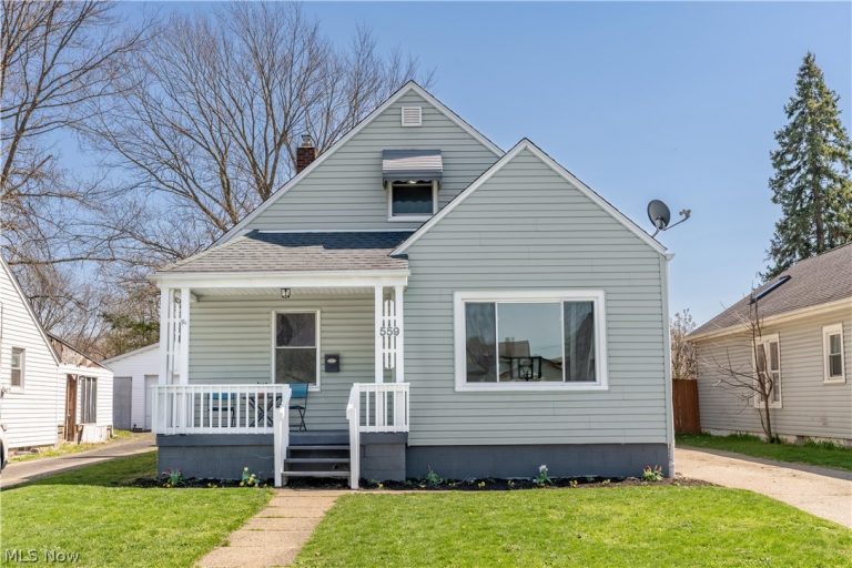 559 Essex Street, Akron, OH, 44306