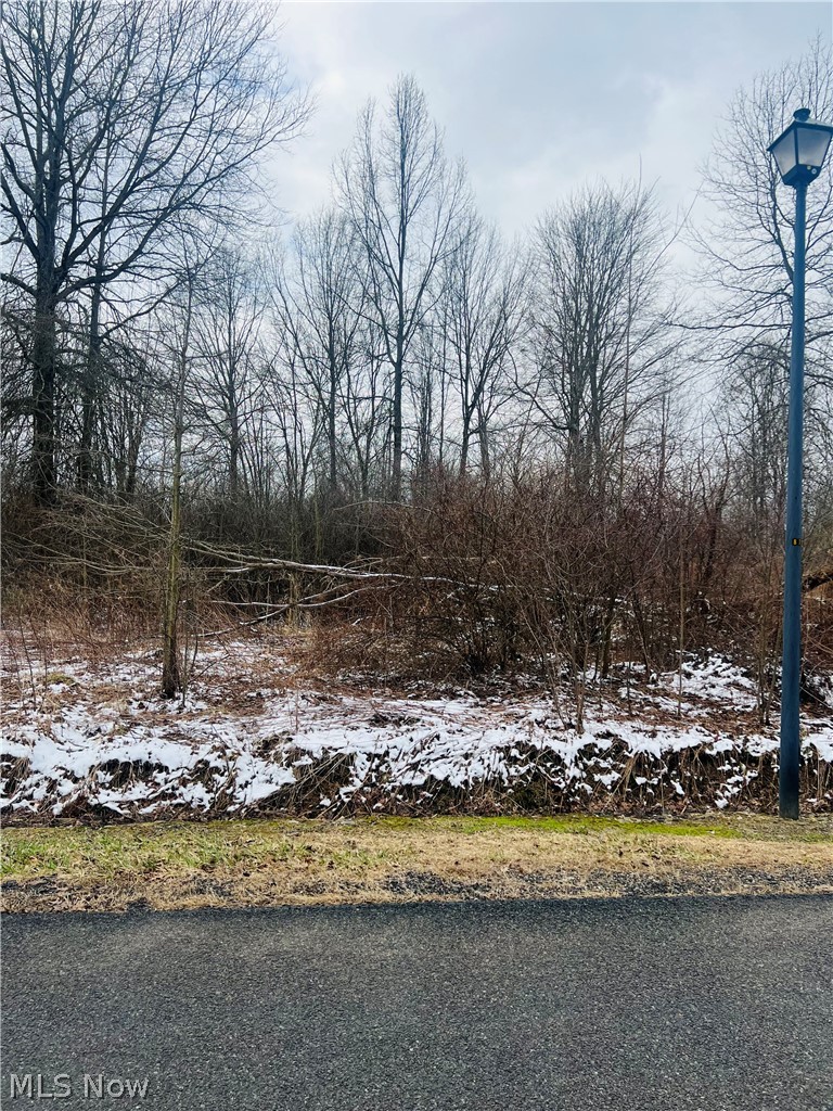 Lot 134 Breezewood Lane, Orwell, OH, 44076