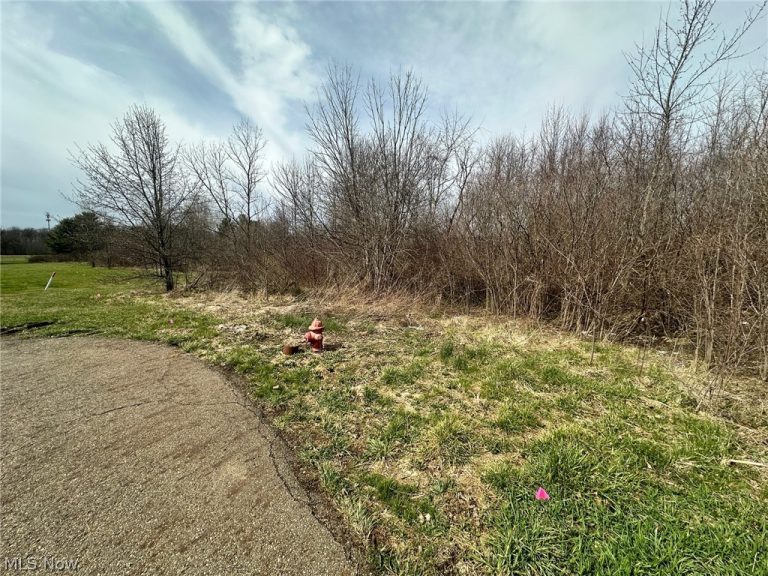 Westwood Avenue, Alliance, OH, 44601