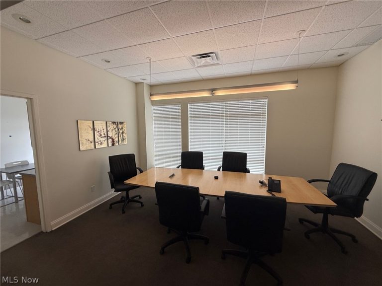 31320 Solon Road #19, Solon, OH - Photo 4