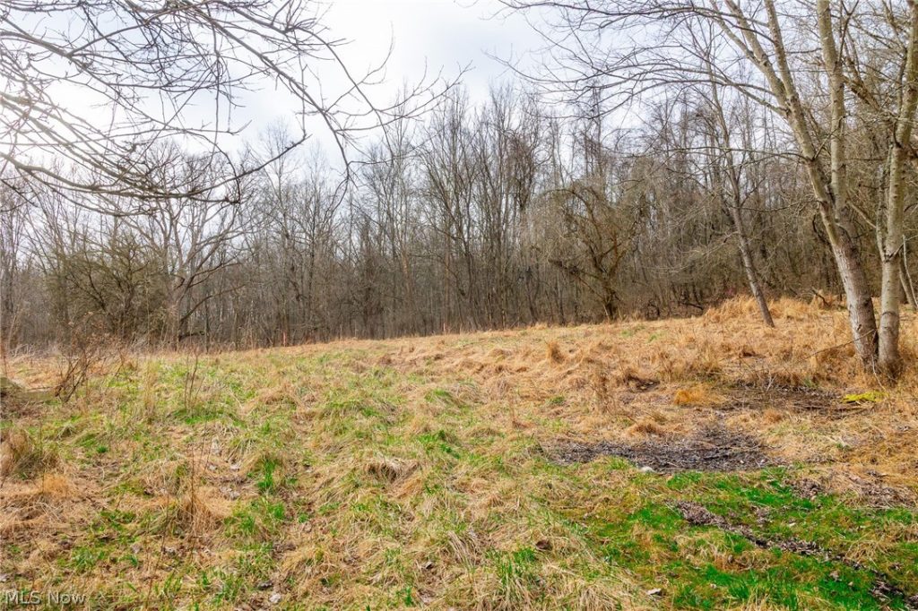 10445 Shannon Road, Frazeysburg, OH