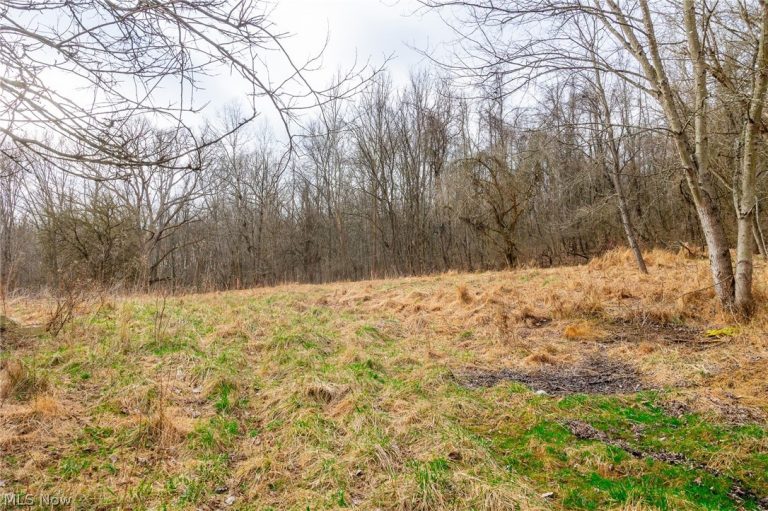10445 Shannon Road, Frazeysburg, OH, 43822