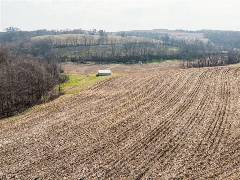 Coal Road, Fresno, OH - Photo 3