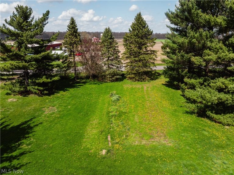 2483 Steiner Road, Creston, OH - Photo 5