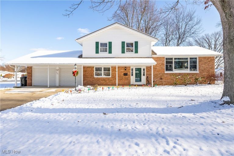 707 Lincoln Street, Amherst, OH - Photo 2