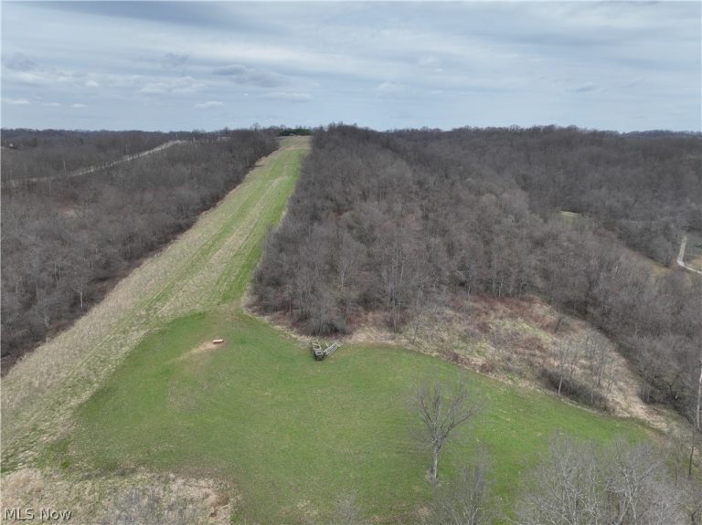 39000 Lees Run Road, Cadiz, OH - Photo 4