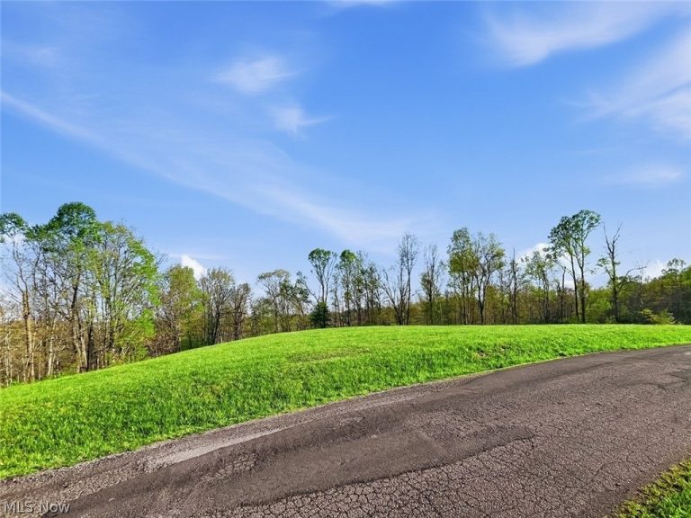 Union Hill Road, Blue Rock, OH - Photo 6