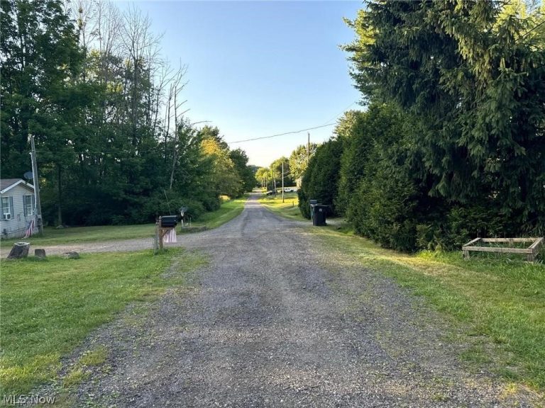 7425 Lisa Lane, Lisbon, OH - Photo 3