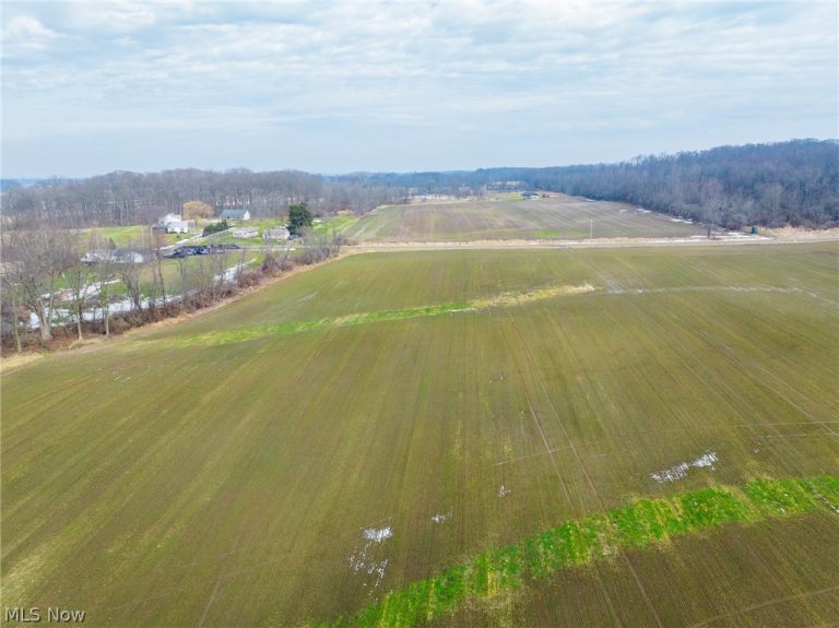 7389 Doylestown Road, Sterling, OH - Photo 6