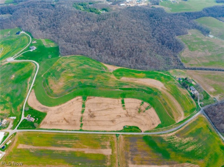 N American Road, Dover, OH - Photo 5