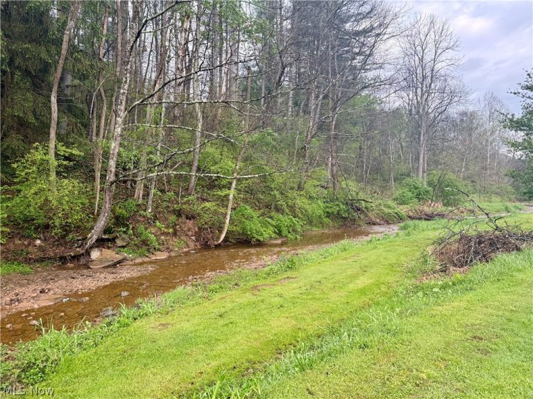 35279 State Route 800, Sardis, OH - Photo 5