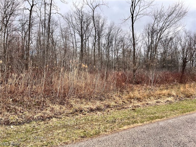 Brianna Ct. Lot 11, Ashtabula, OH, 44004