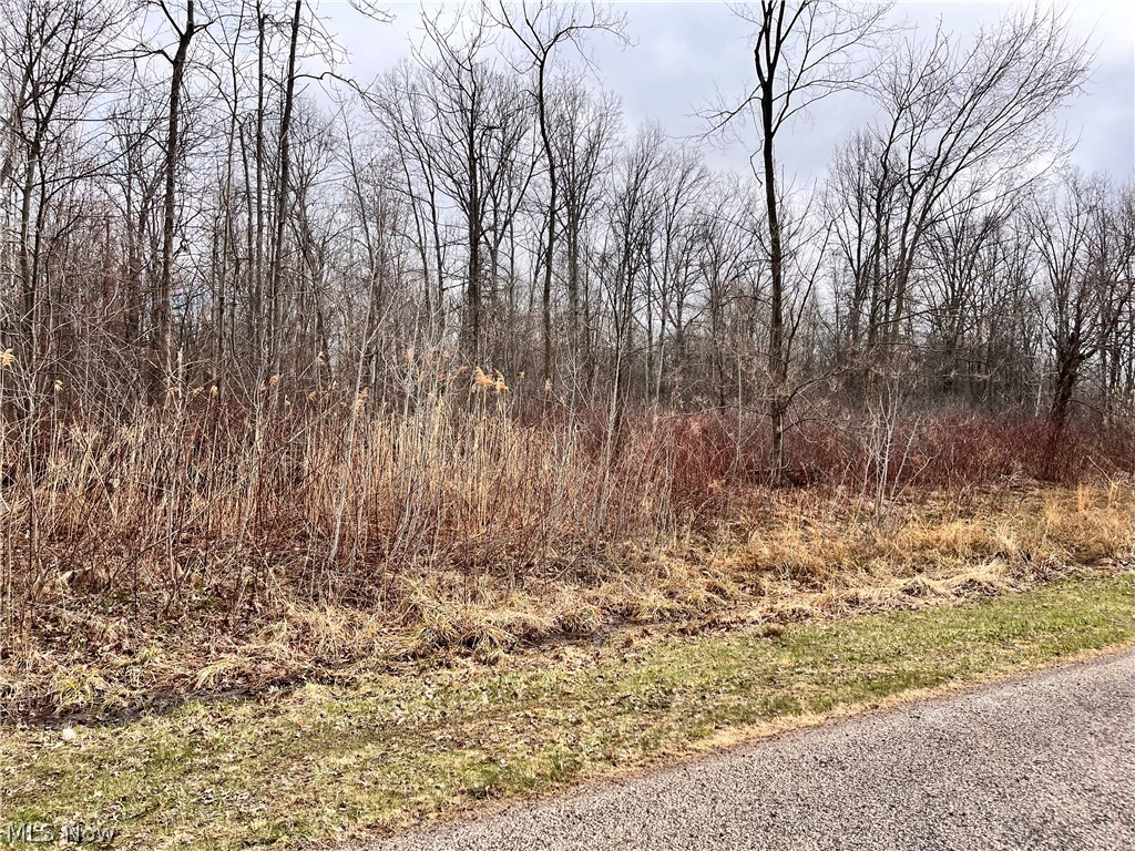 Brianna Ct. Lot 11, Ashtabula, OH