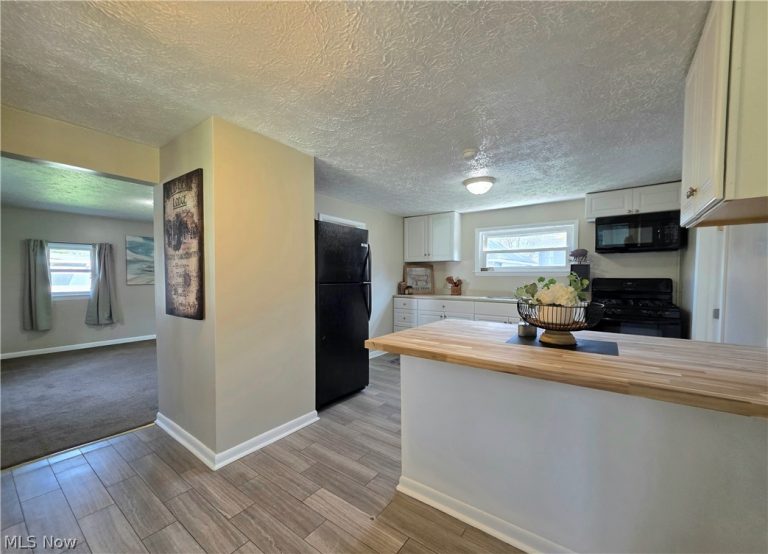 391 Louise Avenue, Kent, OH - Photo 5