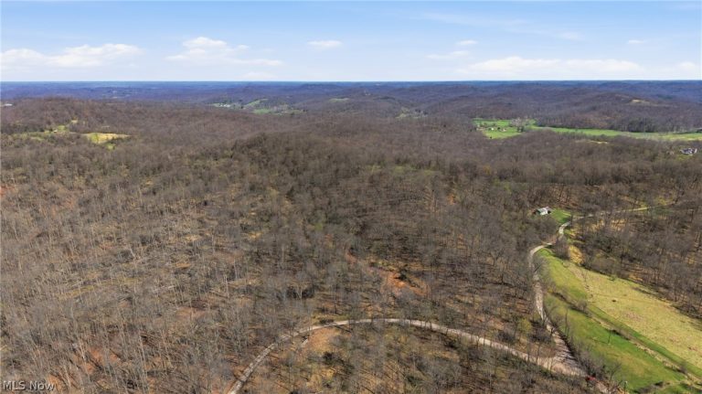 Logston Run Road, Ravenswood, WV - Photo 6