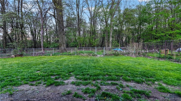 3289 Cricket Drive, Youngstown, OH - Photo 4
