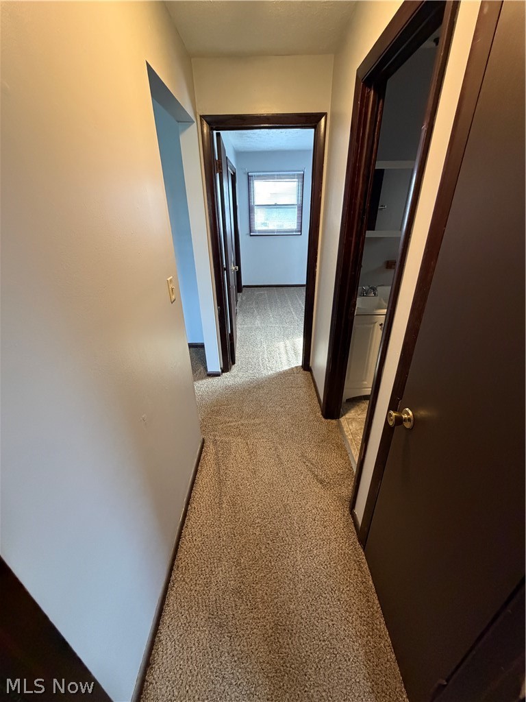 835 Cook Avenue #D, Boardman, OH - Photo 8