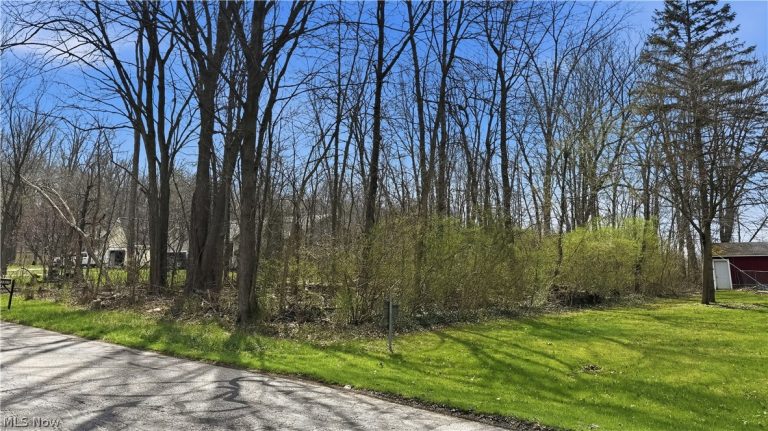 3320 Sandy Lane, Avon, OH - Photo 6