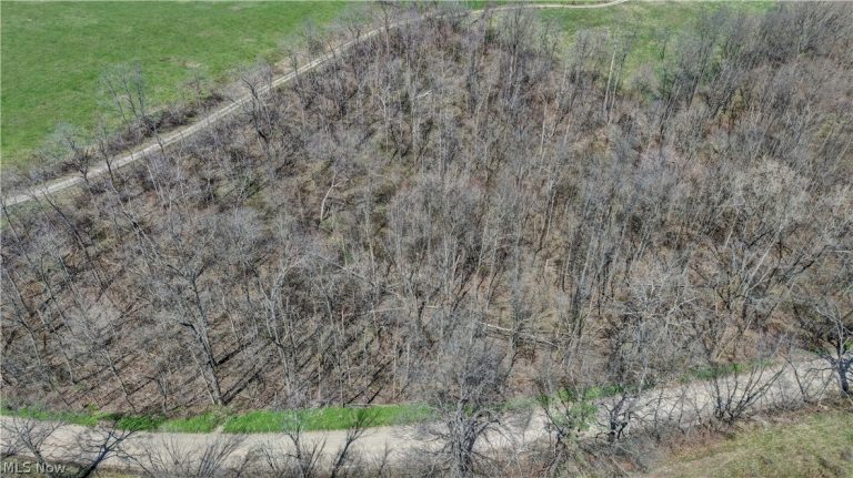 Township Road 127, Millersburg, OH - Photo 2