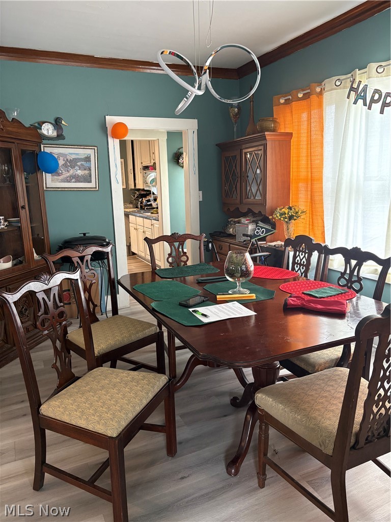 320 Auburndale Avenue, Youngstown, OH - Photo 4