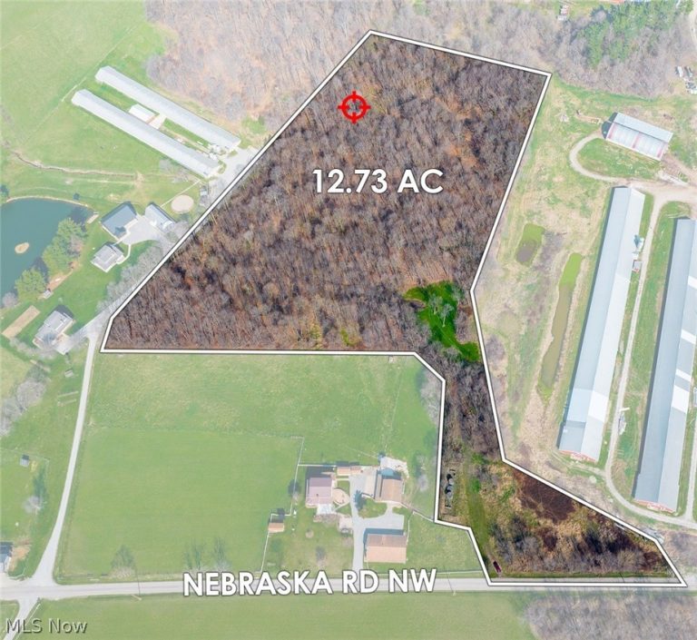 Nebraska Road, Dundee, OH - Photo 4
