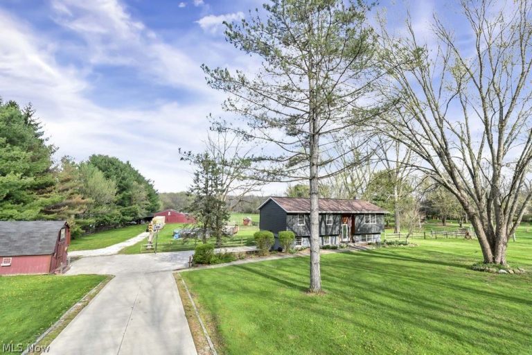 7545 Wadsworth Road, Medina, OH, 44256