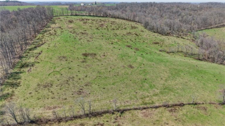 Township Road 127, Millersburg, OH - Photo 2