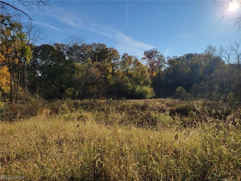 V/L EAST Avenue, Elyria, OH - Photo 3
