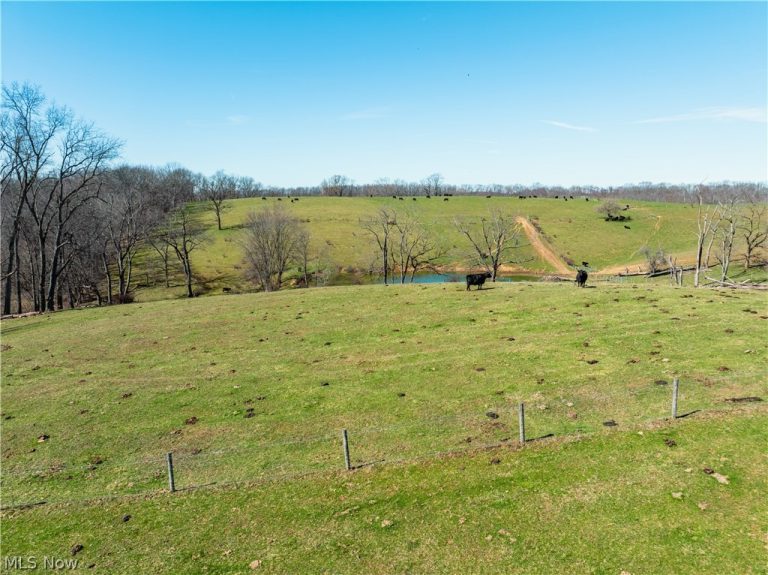 91100 Eckley Road, Jewett, OH, 43986