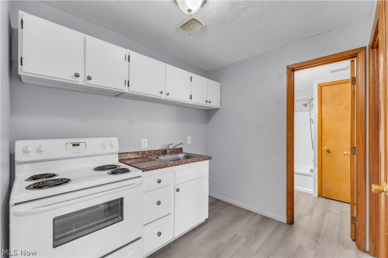 1415 Wyandotte Avenue #105, Lakewood, OH - Photo 8