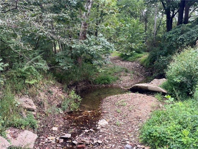 1285 Moody Hollow Road, Blue Rock, OH - Photo 5