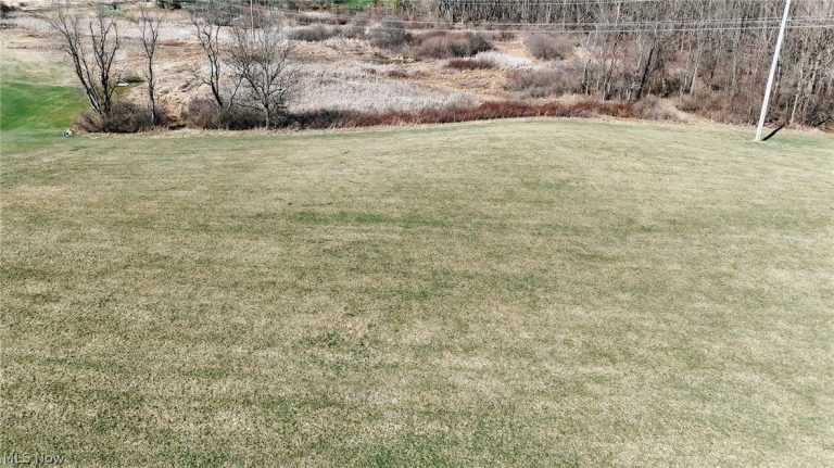 V/L Granger Road, Medina, OH - Photo 2