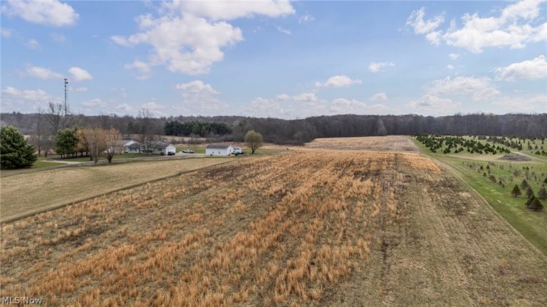 Nichols Road, Windham, OH - Photo 2