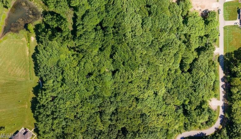 29 Colony Drive, Alliance, OH - Photo 7