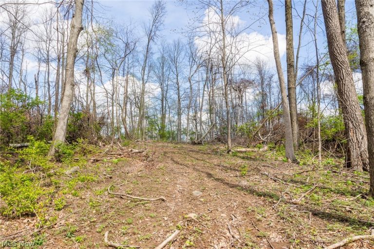 105 Hanley Road, Mansfield, OH - Photo 6