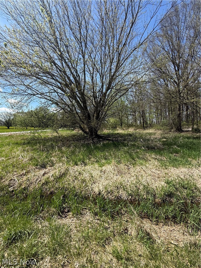 V/L Warwick Road, Marshallville, OH, 44645