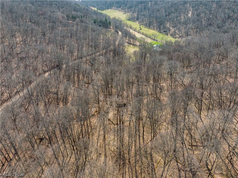 Township Road 34, Killbuck, OH - Photo 3