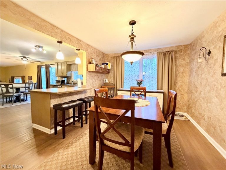 10247 Cherry Hill Dr., Concord, OH - Photo 4