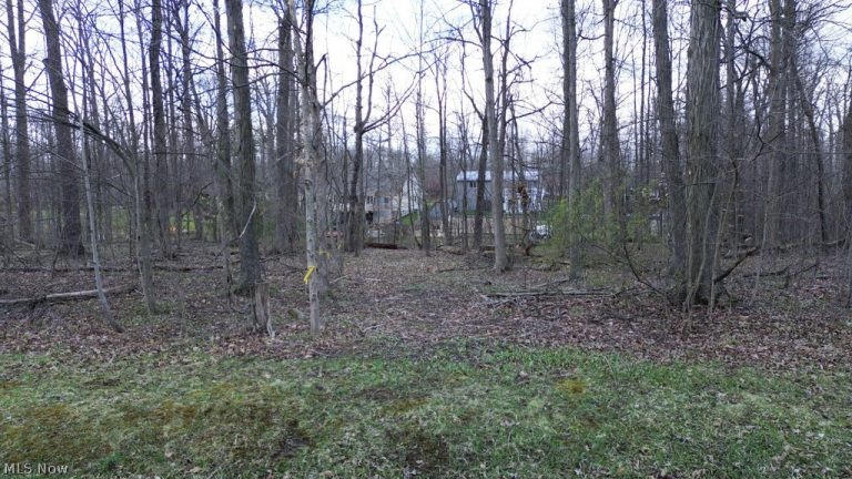 1292 Laurel Drive, West Salem, OH - Photo 5