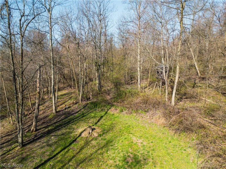 6706 Township Road 323 Road, Millersburg, OH - Photo 4