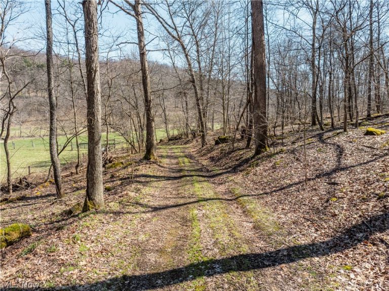 Township Road 34, Killbuck, OH - Photo 8