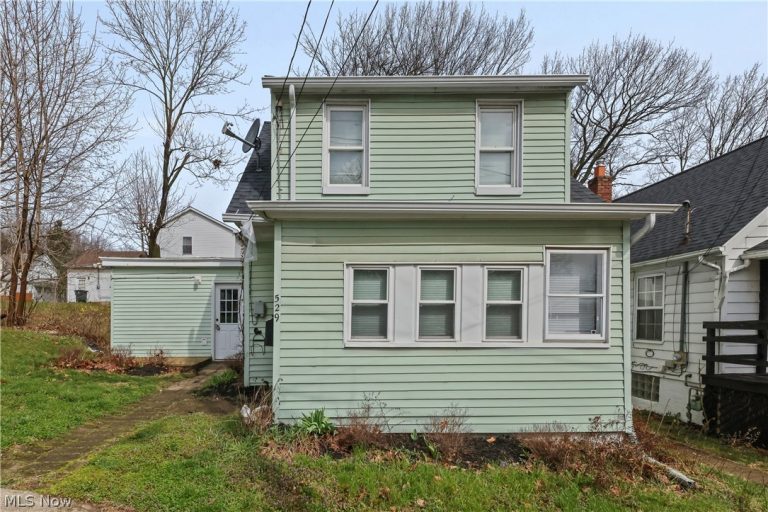 529 Bina Avenue, Akron, OH, 44314