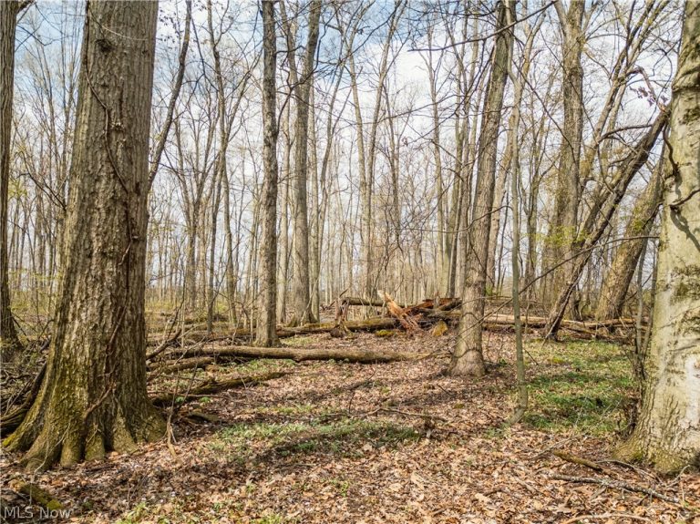 Steiner Road, Creston, OH - Photo 4