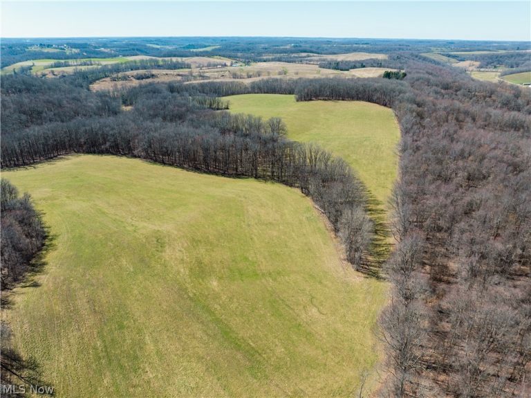Burrier Road, Jewett, OH - Photo 5