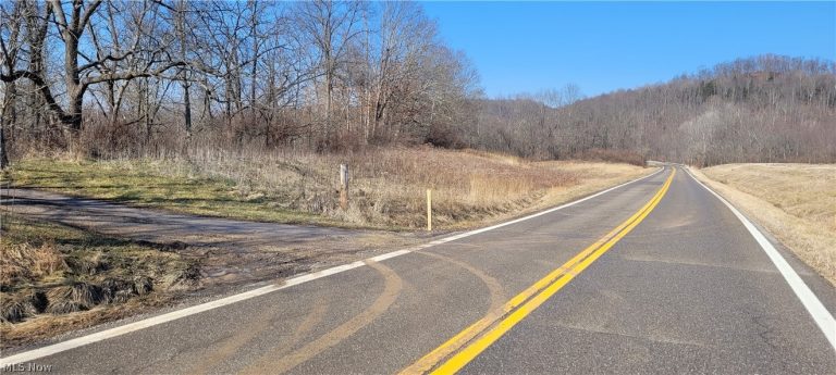 4002 Plainfield Road, Kimbolton, OH - Photo 4