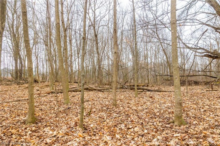 Pigeon Run Avenue, Navarre, OH - Photo 6