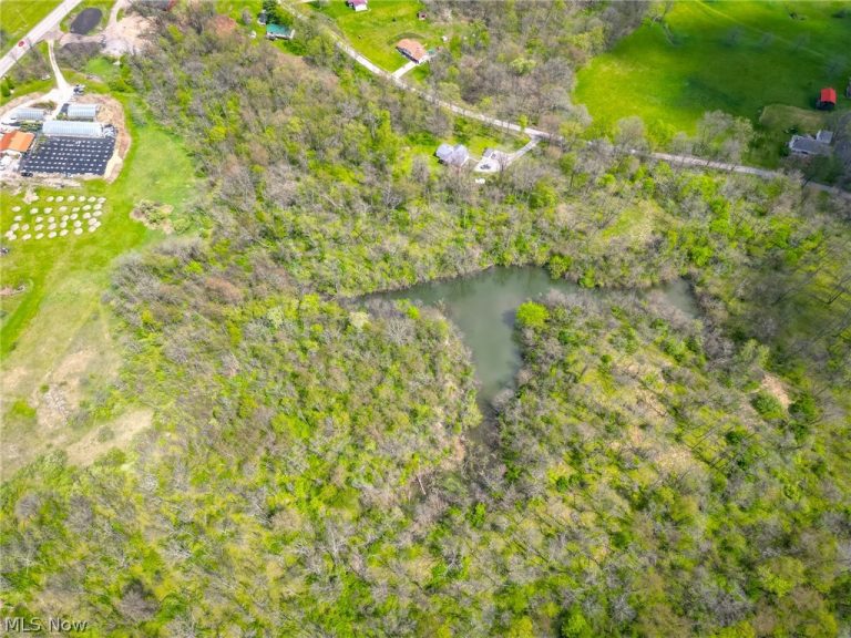 205 Township Road 216, Richmond, OH - Photo 5