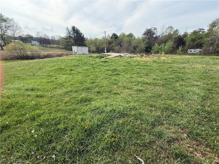 42135 Union Road, Sardis, OH - Photo 6